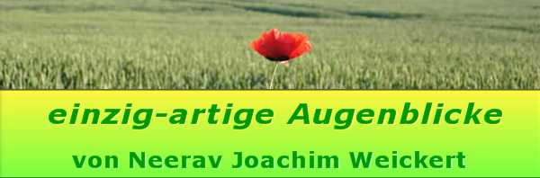 Logo 'einzig-artige Augenblicke' von Neerav Joachim Weickert